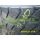 Michelin XZM 166A5 (100020)