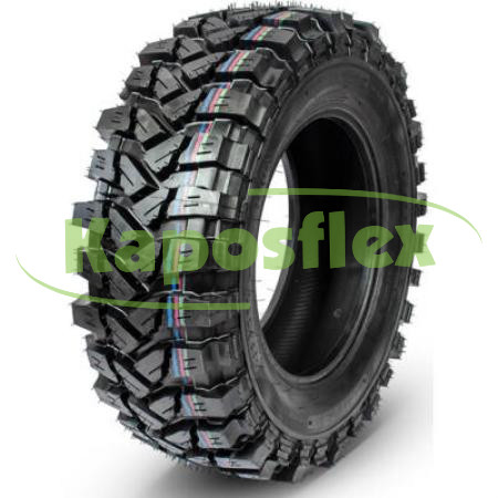 Geyer&Hosaja Raptor (2457016)