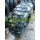 Dunlop PG8 (3658020)