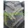 Pirelli TM700 145A8 (4807038)