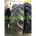 Pirelli TM-700 (4807038)