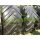 Michelin AxioBib 159D (6007030)
