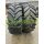 Trelleborg TM900 160D (6007034)