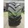 Michelin Axiobib 161D (6506534)