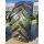 Pirelli TM800 158D (6506542)