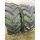 Michelin MachXbib 169A8 (6507538)