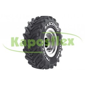 Ascenso XLR880 178D TL (7107038)