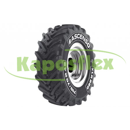 Ascenso XLR880 178D TL (7107038)