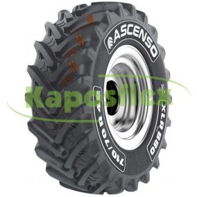 Ascenso XLR880 173D TL (7107042)