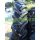 Rigdon (83832)